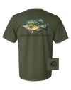 Crappie Fish Tee