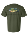 Crappie Fish Tee