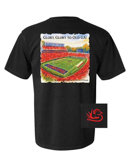 Glory Glory to Old GA! Youth Tee